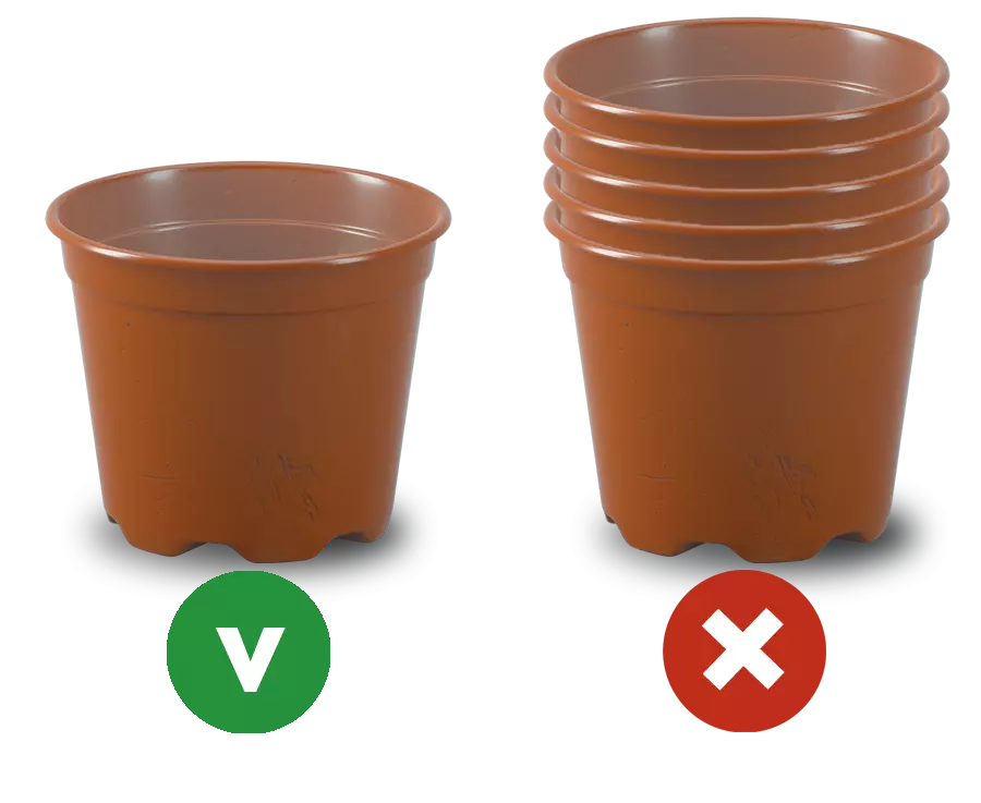 bloempotten.png